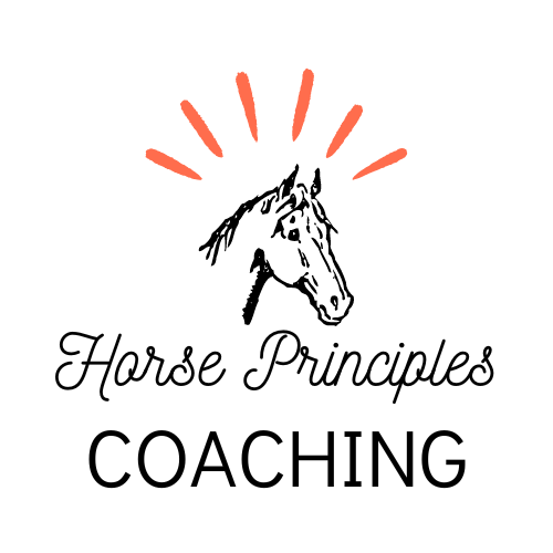 Life Coaching inspired/guided by Horse Principles